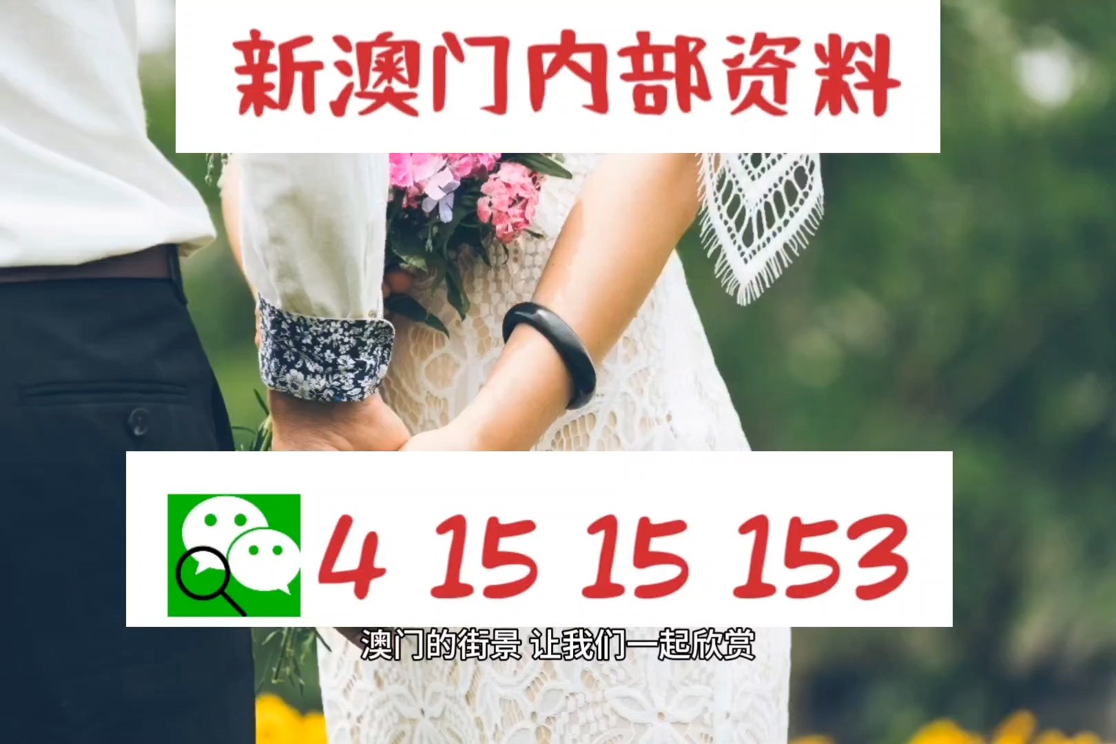 新澳門一碼一碼100準確,實證解讀說明_精英款87.143