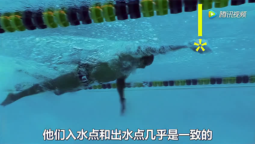 最新自由泳教學(xué)視頻，技巧掌握，暢享泳池暢游